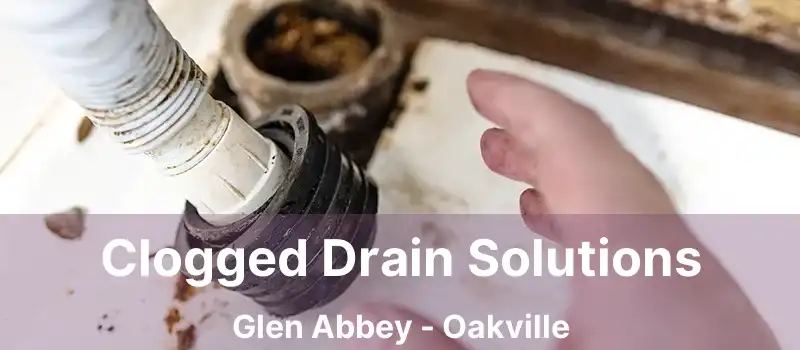  Clogged Drain Solutions Glen Abbey - Oakville